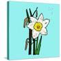 Daffodils-Sarah Thompson-Engels-Stretched Canvas