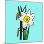 Daffodils-Sarah Thompson-Engels-Mounted Giclee Print