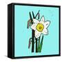 Daffodils-Sarah Thompson-Engels-Framed Stretched Canvas