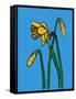 Daffodils-Sarah Thompson-Engels-Framed Stretched Canvas