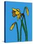 Daffodils-Sarah Thompson-Engels-Stretched Canvas