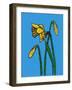 Daffodils-Sarah Thompson-Engels-Framed Giclee Print