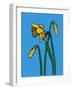 Daffodils-Sarah Thompson-Engels-Framed Giclee Print