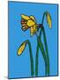 Daffodils-Sarah Thompson-Engels-Mounted Giclee Print