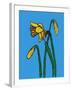 Daffodils-Sarah Thompson-Engels-Framed Giclee Print