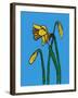 Daffodils-Sarah Thompson-Engels-Framed Giclee Print