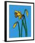 Daffodils-Sarah Thompson-Engels-Framed Giclee Print