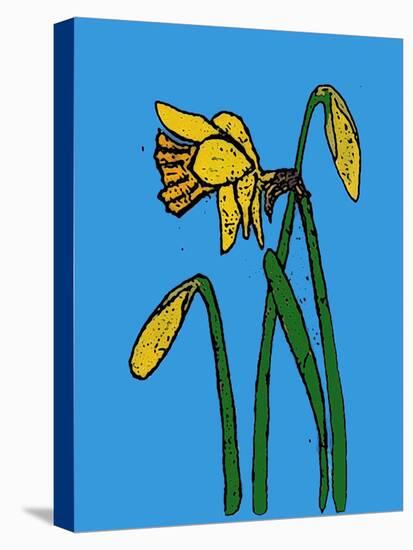 Daffodils-Sarah Thompson-Engels-Stretched Canvas