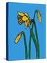 Daffodils-Sarah Thompson-Engels-Stretched Canvas