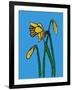 Daffodils-Sarah Thompson-Engels-Framed Giclee Print