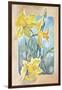 Daffodils-Judy Mastrangelo-Framed Giclee Print