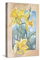 Daffodils-Judy Mastrangelo-Stretched Canvas