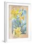 Daffodils-Judy Mastrangelo-Framed Giclee Print