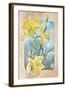 Daffodils-Judy Mastrangelo-Framed Giclee Print