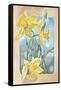 Daffodils-Judy Mastrangelo-Framed Stretched Canvas