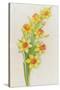 Daffodils-ZPR Int’L-Stretched Canvas