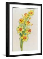 Daffodils-ZPR Int’L-Framed Giclee Print