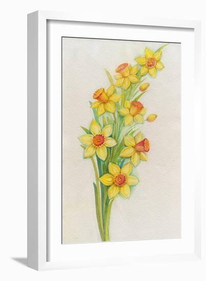 Daffodils-ZPR Int’L-Framed Giclee Print