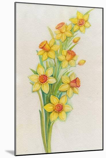 Daffodils-ZPR Int’L-Mounted Giclee Print