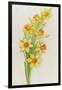 Daffodils-ZPR Int’L-Framed Giclee Print