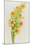 Daffodils-ZPR Int’L-Mounted Giclee Print