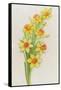 Daffodils-ZPR Int’L-Framed Stretched Canvas