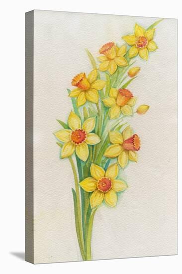 Daffodils-ZPR Int’L-Stretched Canvas