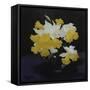 Daffodils-James Stuart Park-Framed Stretched Canvas