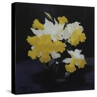 Daffodils-James Stuart Park-Stretched Canvas