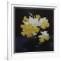 Daffodils-James Stuart Park-Framed Giclee Print