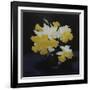 Daffodils-James Stuart Park-Framed Giclee Print