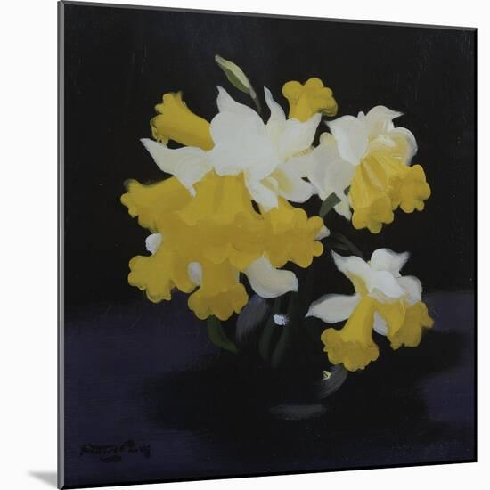 Daffodils-James Stuart Park-Mounted Giclee Print
