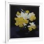 Daffodils-James Stuart Park-Framed Giclee Print