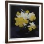 Daffodils-James Stuart Park-Framed Giclee Print