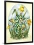 Daffy-Linda Ravenscroft-Framed Giclee Print