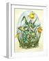 Daffy-Linda Ravenscroft-Framed Giclee Print