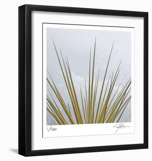 Dagger Yucca-Ken Bremer-Framed Limited Edition