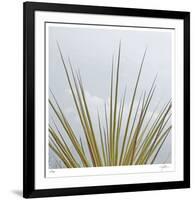 Dagger Yucca-Ken Bremer-Framed Limited Edition