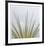 Dagger Yucca-Ken Bremer-Framed Limited Edition