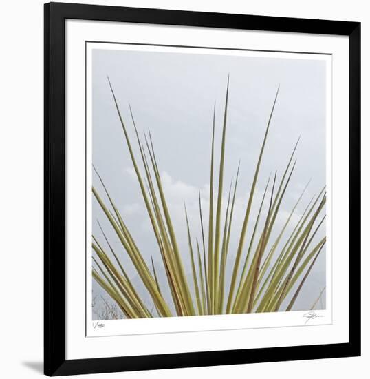 Dagger Yucca-Ken Bremer-Framed Limited Edition