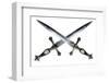 Dagger-vis-Framed Photographic Print