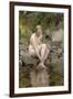 Dagmar, 1911-Anders Leonard Zorn-Framed Giclee Print