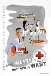 Don't Waste What Others Want: American Junior Red Cross-Dagmar Wilson-Stretched Canvas