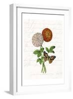 Dahlia 2-Kimberly Allen-Framed Art Print