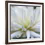 Dahlia Abstract-Anna Miller-Framed Photographic Print