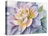 Dahlia Blue 1-Patti Bishop-Stretched Canvas