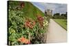 Dahlia Border-Eleanor Scriven-Stretched Canvas