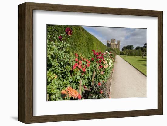 Dahlia Border-Eleanor Scriven-Framed Photographic Print