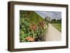 Dahlia Border-Eleanor Scriven-Framed Photographic Print