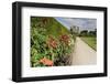 Dahlia Border-Eleanor Scriven-Framed Photographic Print